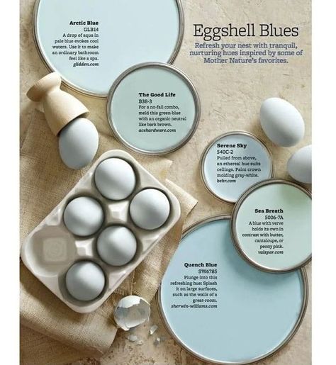 Robins Egg Blue Paint, Interior Paint Colors Schemes, Eggshell Blue, Robin Egg Blue, Interior Paint Colors, Paint Palette, Robins Egg Blue, Paint Colors For Home, Robins