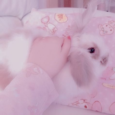 Pink Feeds, Soft Pink Theme, Baby Pink Aesthetic, Kawaii Bunny, Angel Girl, Pastel Pink Aesthetic, Pink Themes, Kawaii Aesthetic