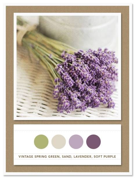 Color Card 037: Vintage Spring Green, Sand, Lavender, Soft Purple Bathroom Color Palette, Spring Purple, Green Sand, Purple Succulents, Purple Wedding Theme, Purple Bathrooms, Purple Color Palettes, Spring Wedding Colors, Purple Themes