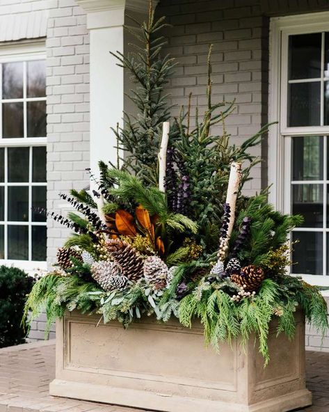 Winter Window Boxes, Fall Pots, Winter Container Gardening, Christmas Urns, Outdoor Christmas Planters, Painted Branches, Holiday Planter, Winter Planter, Window Box Flowers