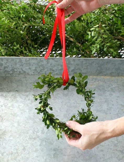 Mini Wreath Diy, Mini Boxwood Wreath, Christmas Decora, Boxwood Wreath, Mini Wreaths, Easy Christmas Diy, All I Want For Christmas, Noel Christmas, Christmas Wreaths Diy