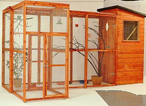 Indoor/Outdoor Aviary Chameleon Enclosure, Aviary Ideas, Animal Enclosures, Snake Enclosure, Conure Parrots, Rabbit Cages, Bird House Kits, Bird Aviary, Reptile Cage