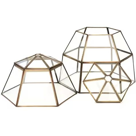 Buy Lantern cloche with lid: Delivery by Waitrose Garden Geometric Lantern, Glass Lanterns, Geometric Terrarium, Glass Candle Holder, Glass Terrarium, Glass Lantern, Tool Sheds, Jewelry Organizer, Glass Candle Holders