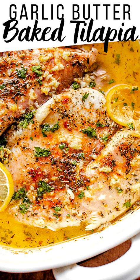 Oven Baked Tilapia, Tilapia Recipes Easy, Baked Seafood, Easy Garlic Butter, Baked Tilapia, Fish Dinner Recipes, Tilapia Recipes, Fish Recipes Healthy, Fish Dinner