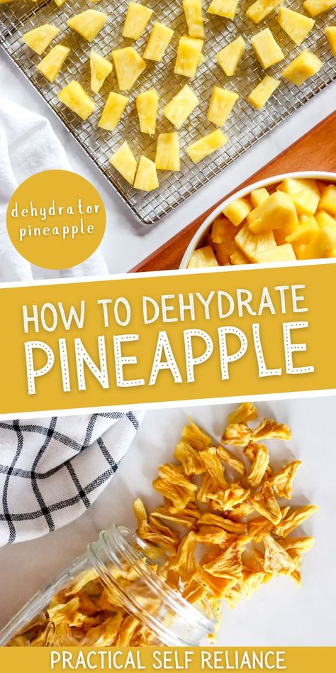 A jar of dried pineapple and fresh pineapple on a dehydrator tray ready for dehydrating. Dehydrated Candy, Dehydrator Ideas, Dehydrating Fruit, Dehydrator Recipes Fruit, Dehydrate Pineapple, Dehydrating Recipes, Sliced Pineapple, Dehydrating Food Storage, Dehydrated Apples