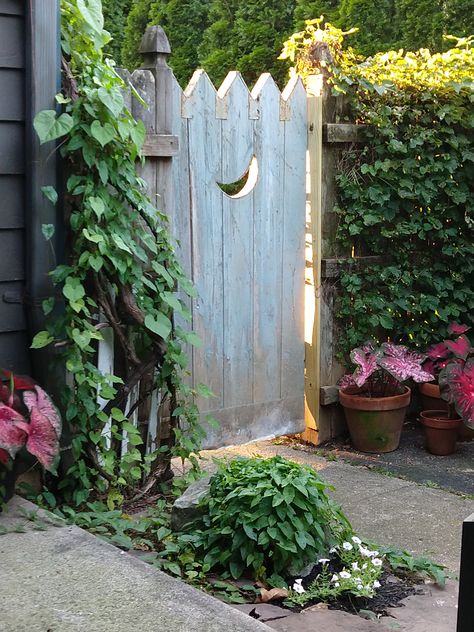 Old Crescent Moon Garden Gate Secret Garden Gate, Garden Gate Design, Moon Garden, Fence Ideas, Small Backyard Patio, Garden Gate, Garden In The Woods, Beach Gardens, Whimsical Garden