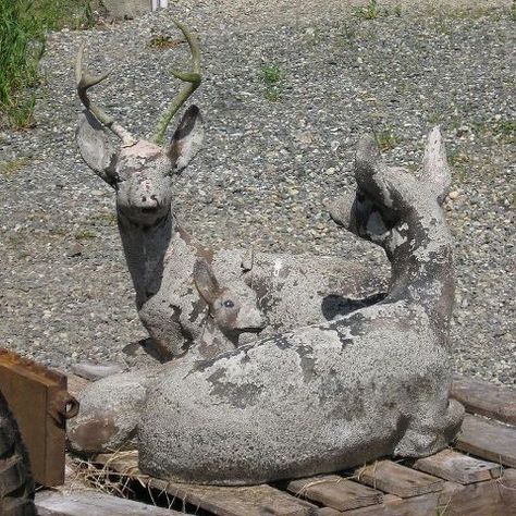 restoring concrete statuary, concrete masonry, landscape, painting, Notice that the fawn has a broken ear and the original paint is all but gone Repair Cracked Concrete, Concrete Garden Statues, Antler Projects, Cement Mold, Cement Ideas, Cement Statues, Deer Ears, Garden Statuary, Easy Fall Wreaths