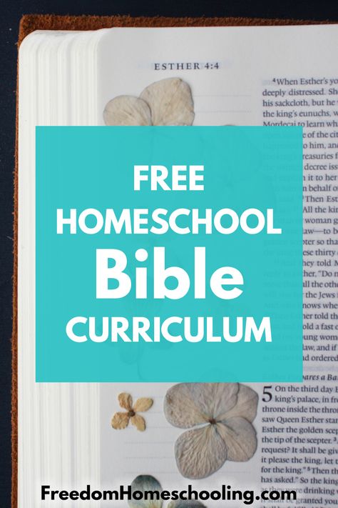 Family Bible Study Plans, Kids Bible Study Lessons, Free Bible Study Printables, Homeschool Bible Curriculum, Childrens Bible Study, Teen Bible Study, Bible Homeschool, Family Bible Study, Free Homeschool Curriculum