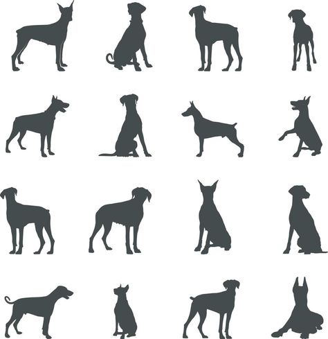 Dobermann dog silhouettes, Dobermann silhouette, Dobermann svg, Dobermann vector Doberman Stencil, Doberman Silhouette, Doberman Tattoo, Dog Silhouettes, Pet Services, Cricut Craft, Dog Silhouette, Vector Shapes, Cricut Craft Room