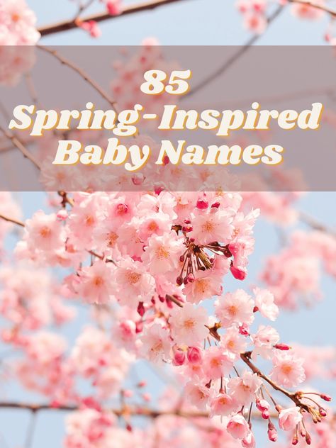 85 Spring-Inspired Baby Names Mexican Names, Rustic Boy Names, Chickpea Flour Recipes, Vegan Egg, Egg Sandwich, Simple Sandwiches, Egg Sandwiches, Vegan Eggs, Bloom Blossom