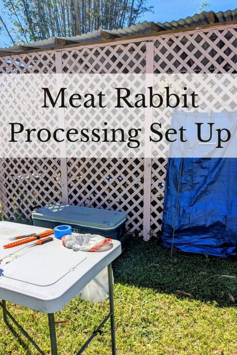 Meat Rabbit Processing Set Up, Equipment, and Tools - Reformed Acres Meat Rabbit Set Up, Butchering Rabbits, Rabbit Butchering, Rabbit Processing, What To Feed Rabbits, Raising Meat Rabbits, Meat Rabbits Breeds, Rabbits For Meat, Rabbit Farming