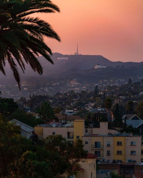 Secret Los Angeles on Instagram: “Majestic skies over the hills 😍✨ #mysecretla 📸: @dannydemarcos . . . #losangeles #hollywood #la #losangelesphotography” Los Angeles Aesthetic, Los Angeles Photography, Manifest Success, Sunset Blvd, Intelligence Agency, Detective Agency, Over The Hill, California Dreamin', Pretty Please