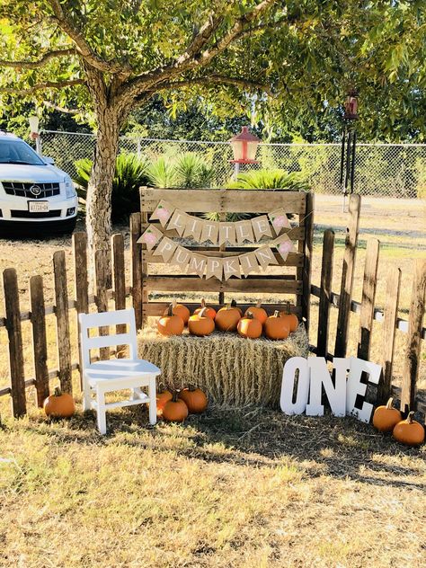 Pumpkin Patch Stand Diy, Pumpkin First Birthday Decorations, Mini Pumpkin Patch Ideas, Fall Back Drops For Pictures Diy, At Home Pumpkin Patch, Pumpkin Party Ideas 1st Birthdays, Outdoor Fall Birthday Party, Fall Birthday Photoshoot, Pumpkin Patch At Home