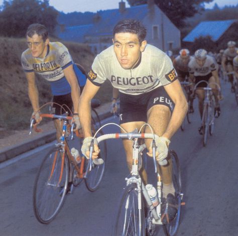 Eddy Merckx (1967) Eddy Merckx Bike, Road Bicycle Racing, Cycling Inspiration, Bicycle Track, Vintage Cycling, Tandem Bike, Vintage Cycles, Riding Bike, Cycling Photos