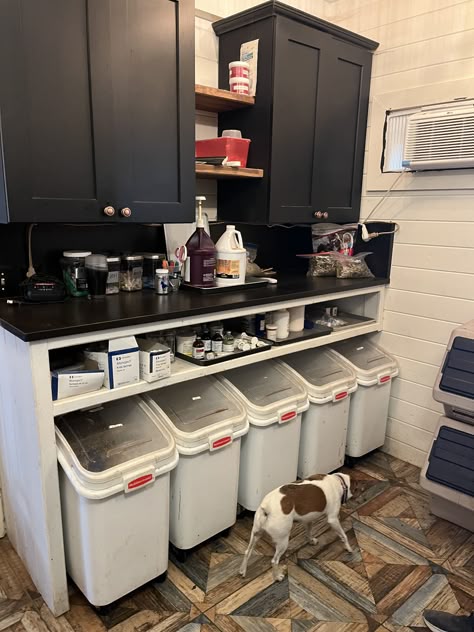 Dog Ranch Ideas, Equine Vet Clinic Layout, Dog Boarding Facility Decor, Indoor Dog Training Room, Kennel Boarding Ideas, Dog Wash Station Ideas, Dog Rescue Kennel Ideas, Animal Shelter Storage Ideas, Dog Building Ideas