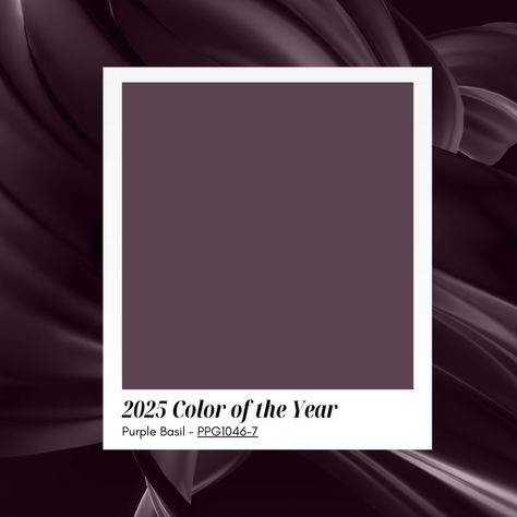 PPG Paint 2025 Color of the Year : Purple Basil Dark Plum Walls, Color Of The Year 2024-2025, Dusty Purple Color Palette, 2025 Color Of The Year, Purple Basil Color, 2025 Paint Color Trends, Purple Basil, Purple Wall Paint, Ppg Paint Colors