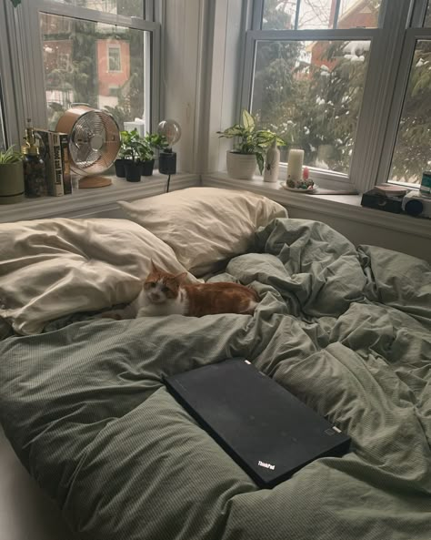 Green Bed Astethic, Comfy Vibes Bedroom, Apartment Room Ideas Minimalist, Comfy Bed Astethic, Bedding Astetic, Comfy Green Bedroom, Cozy Home With Cat, Cozy Bed Green, Cool Bed Pillows