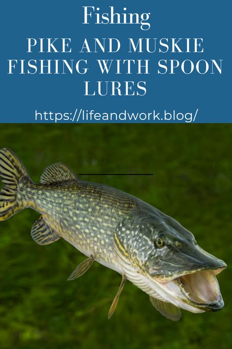 Pike and Muskie Fishing With Spoon Lures Canada Fishing, Muskie Fishing, Crappie Lures, Fish Reference, Fishing Hook Knots, Crappie Fishing Tips, Musky Fishing, Fish Activities, Fishing Spoons