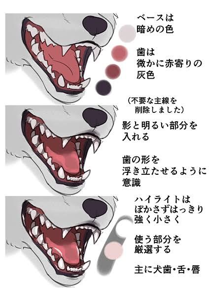 Mouth Drawing, Wolf Drawing, Coloring Tutorial, Digital Painting Tutorials, Anatomy Drawing, Anatomy Reference, Digital Art Tutorial, Drawing Base, Drawing Poses