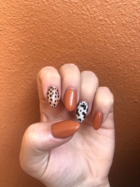 Long acrylic nail manicure. Western style nails with a deep orange color, cow print, and cheetah print. Fall Cow Nails, Fall Cow Print Nails, Farm Nails Designs, Cow Print Nail Ideas, Easy Diy Nail Designs, Western Fall Nails, Animals Nail Art, Cheetah Print Nails, 2023 Nail