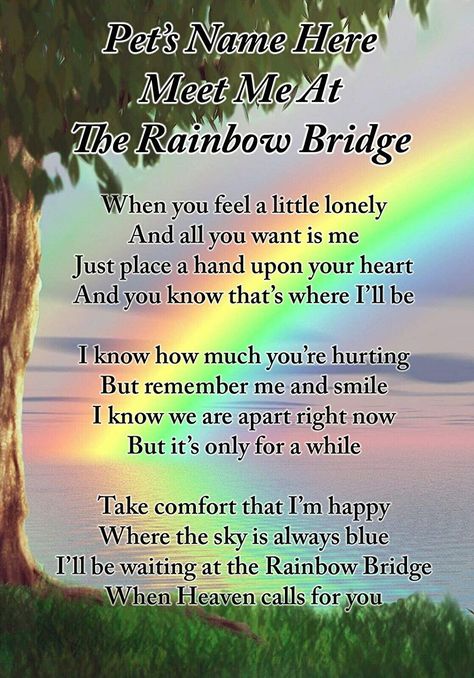 Lisa s Gifts Personalised Meet Me at The Rainbow Bridge Dog Cat Pet Memorial Graveside Funeral Poem Keepsake Card Includes Free Ground Stake F397 Losing A Dog Quotes, Losing A Pet Quotes, Dog Heaven Quotes, Pet Poems, Dog Poems, Dog Quotes Love, Dog Heaven, Pet Remembrance, Losing A Dog