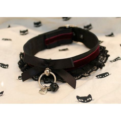 Kitten Play Gear, Kitten Play Collar, Bad Kitty, Bad Cats, Kittens Playing, Choker Collar, Lace Collar, Cute Jewelry, Mens Bracelet