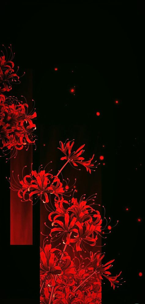 Red Spider Lily Aesthetic Wallpaper, Red Spider Lily Background, Spider Lilies Wallpaper, Spider Lily Background, Lycoris Rouge, Red Spider Lily Aesthetic, Red Spider Lily Wallpaper, Spider Lily Wallpaper, Red Flower Background