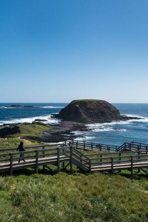 Read our favourite free things to do on Phillip Island to plan your trip! Phillip Island Australia, Philip Island Australia, Melbourne Life, Postcard Project, Australia Aesthetic, 22nd Bday, Melbourne Trip, Gap Year Travel, Nature Destinations