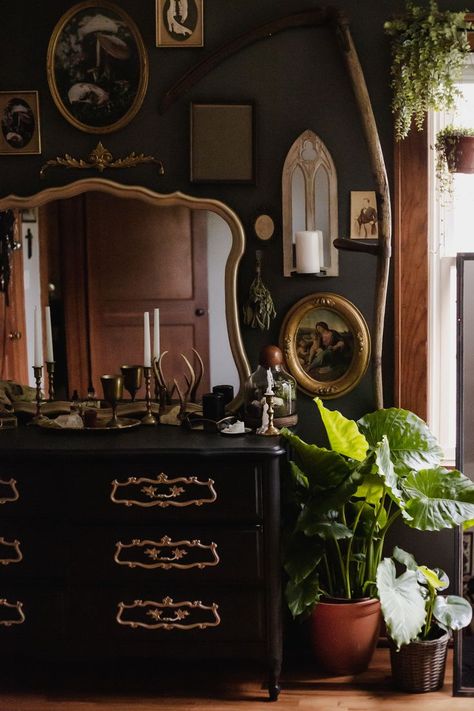 plants, antiques, gold, vintage Moody Maximalist Decor, Moody Eclectic, Moody Maximalist, Academia Bedroom, Moody Decor, Moody Bedroom, Dark Home Decor, Goth Home, Dark Home