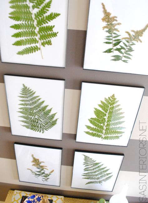 Bring the Outdoors in by using ferns and creating art by @Jenna_Burger, www.jennaburger.com Fern Art, Housing Ideas, Inside House, Pressed Flower Art, Space Ideas, Spring Holidays, Night Party, Nature Crafts, Leaf Art