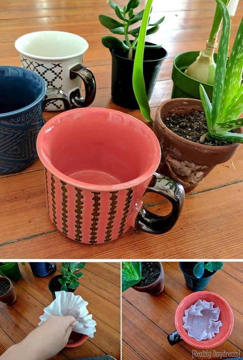 Repurposed Plant Pots, Upcycled Flower Pots, Mug Planters Diy, Coffee Mug Planter, Mugs As Planters, Coffee Cup Plant, Pots Without Drainage Holes, How To Plant In Pots Without Drainage Holes, Coffee Mug Succulent Planters