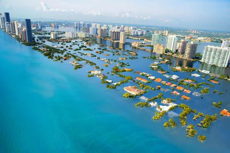 A potential scenario of future sea level rise in South Beach, Miami, Florida, USA. Critical Reading, Sea Level, Real Estate Companies, Buy Tickets, South Beach, Westminster, Real Estate Professionals, Real Estate Brokerage, Luxury Real Estate