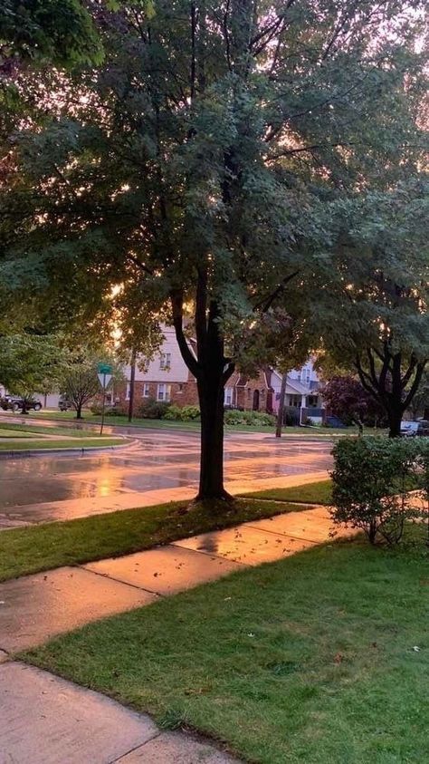 Rainy Suburbs Aesthetic, Rainy Neighborhood Aesthetic, Summer Neighborhood Aesthetic, Rainy Neighborhood, Rich Neighborhood Aesthetic, Aesthetic Neighborhood, Suburbs Aesthetic, Neighborhood Aesthetic, Summer Photos