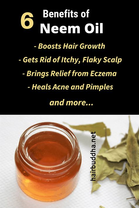 How to Use Neem Oil for Hair Growth, Dandruff and Eczema - hair buddha Neem Oil For Hair Growth, Benefits Of Neem Oil, Hair Buddha, Neem Oil For Hair, Benefits Of Neem, Back Acne Remedies, Oils For Dandruff, Slow Hair Growth, Oil For Hair Growth