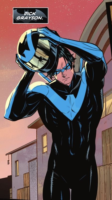 Nightwing Painting, Richard Grayson Comic, Discowing Nightwing, Night Wing Fanart, Nightwing Fan Art, Nightwing Sketch, Nightwing Pfp, Nightwing Fanart, Nightwing Aesthetic