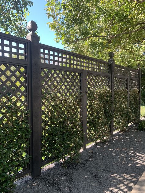 Lattice Fence With Vines, Arbor Over Fountain, Lattice Fencing Ideas, Black Lattice Fence, Lattice Garden Fence, Lattice Fence Ideas Yard Privacy, Fence With Trellis Top, Privacy Lattice Fence Ideas, Latice Fence