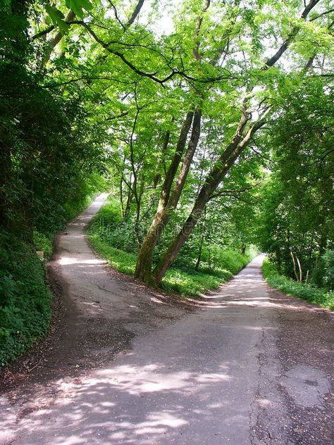 Crossroads in a Forest. The quiet intersection of two small roads or paths in a , #AD, #intersection, #small, #quiet, #Crossroads, #Forest #ad Road With Trees Pathways, Nature, Crossroads Aesthetic, Lady Hekate, Reading Imagination, Road In Forest, Shamanic Journeying, Forest Paths, Two Paths