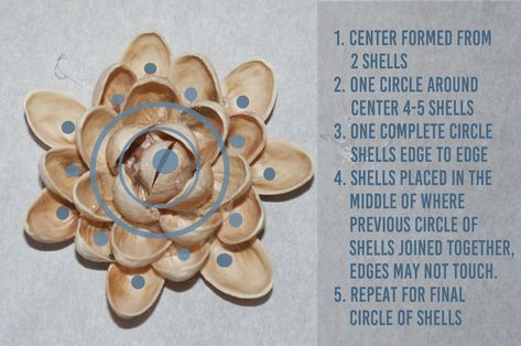 how to make a flower from pistachio nut shells, easy and fun Flower From Pistachio Shells, Pistachio Crafts, Pistachio Art, Pistachio Nut, Pistachio Shell, Pista Shell Crafts, Pistachio Shells, Shell Flowers, Shells Diy