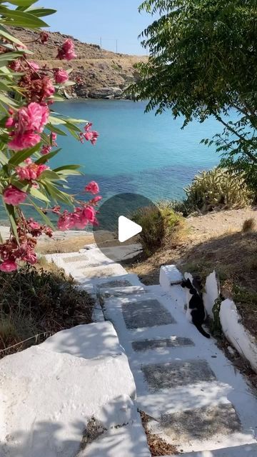 Andros Secrets on Instagram: "Moments in Andros 🫶 Such a unique island! Discover Andros Secrets! #andros_secrets #andros #androsisland #androsgreece #visitgreece #travelgreece #greekislands #vacationtime #holidays #grece #cyclades_islands #greece" Kythera Island Greece, Hydra Island Greece, Greece Island Hopping, Andros Greece, Andros Island Greece, Greece Hydra Island, Cyclades Islands, Visiting Greece, Greek Islands