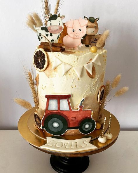 Tractor Birthday Cakes, Farm Birthday Cakes, Barnyard Cake, Farm Animal Cakes, Tractor Cake, Animal Birthday Cakes, Barnyard Birthday Party, Farm Theme Birthday, Farm Baby Shower