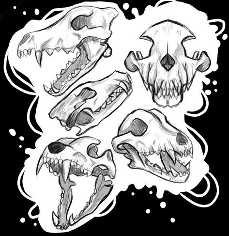 Wolf Skull Side View, Wolf Skull Reference, Wolf Skull Drawing, Werewolf Skull, Wolf Side View, Skull Side View, Animal Skull Drawing, Canine Skull, Skull Reference