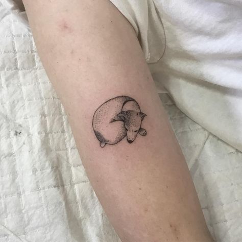 Curled Up Dog Tattoo, Dog Curled Up Tattoo, Cassie Tattoo, Two Dogs Tattoo, Jack Russell Tattoo, Dog Inspired Tattoos, Tattoos For Dogs, Cooper Tattoo, Penny Tattoo