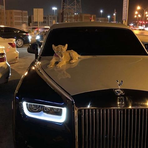 Gs 1200 Bmw, Cars Rolls Royce, Royce Car, Images Hello Kitty, Car Organization, Aesthetic Car, Car Decorations, Lux Cars, Rolls Royce Phantom