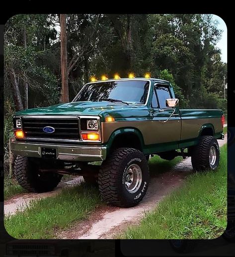 Bullnose Ford Truck, Old Ford Square Body Trucks, Pick Up Trucks 4x4, Old Pickup Trucks For Sale, 80s Ford Trucks, 1988 Ford F250, Ford Square Body Trucks, 1996 Ford F250 Diesel, Single Cab Truck Interior Ideas