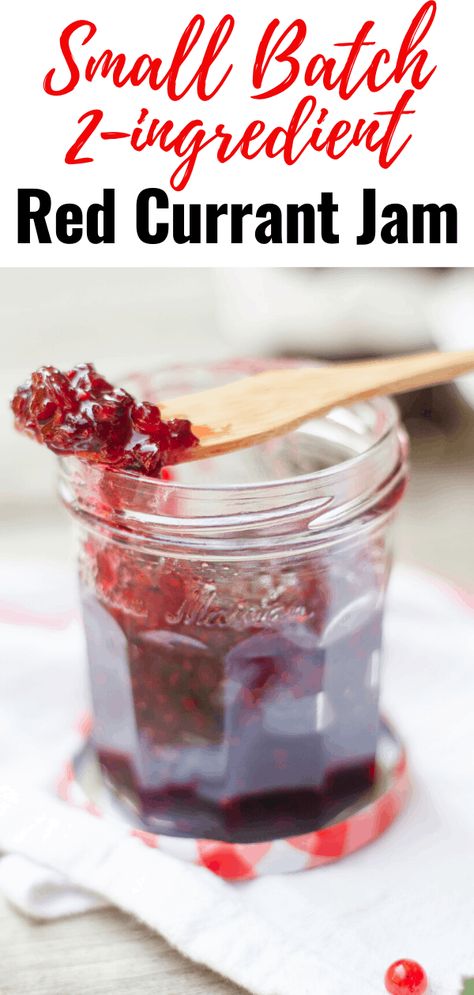 Winning combo for your small batch 2-ingredient red currant jam! Sugar and this sour fruits make the perfect spread or edible gift! #jam #spread #redcurrants #easy #fruit #recipes #smallbatch Easy Fruit Recipes, Red Currant Recipe, Sour Fruits, Red Currant Jam, Currant Recipes, Currant Jam, Gooseberry Recipes, Homemade Jams, Sour Fruit