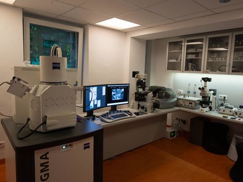 Eckhard’s home laboratory, with Zeiss Sigma Scanning Electron Microscope at the left. (Source: Eckhard Voelcker) Home Laboratory, Laboratory Idea, Scanning Electron Microscope, Science Room, Laboratory Design, Home Lab, Dexter Laboratory, Biology Labs, Minecraft Room