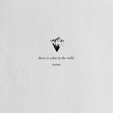 Into The Wild Aesthetic, Mountain Aesthetic Quotes, Into The Wild Quotes, Birding Quotes, Birds Quotes, Mountains Quotes, Muse Quotes, Wild Quotes, Fearless Quotes