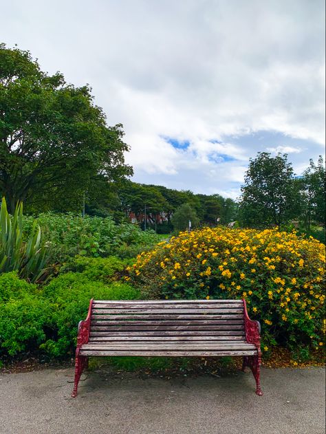 A Bench In The Park, Background Sitting Images For Editing, Sitting Background For Editing Hd, Park Chair Background For Editing, Sit Down Background, Sitting Background For Editing, Park Background For Editing, Seat Background, Bench Background