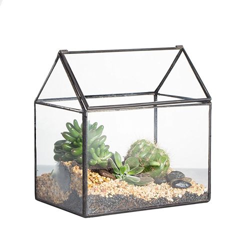 House Shape Close Glass Geometric Terrarium Wedding Centerpiece Tabletop Succulent Air Plants Planter Window Sill Moss Fern Flower Pot Small Pets Box Container with Swing Lid (Yes I am absolutely copying Peasy) Tortoise Cage, Hermit Crab Habitat, Copper House, Tortoise Care, Baby Tortoise, Top Tables, Giant Tortoise, Glass Aquarium, High Top Tables