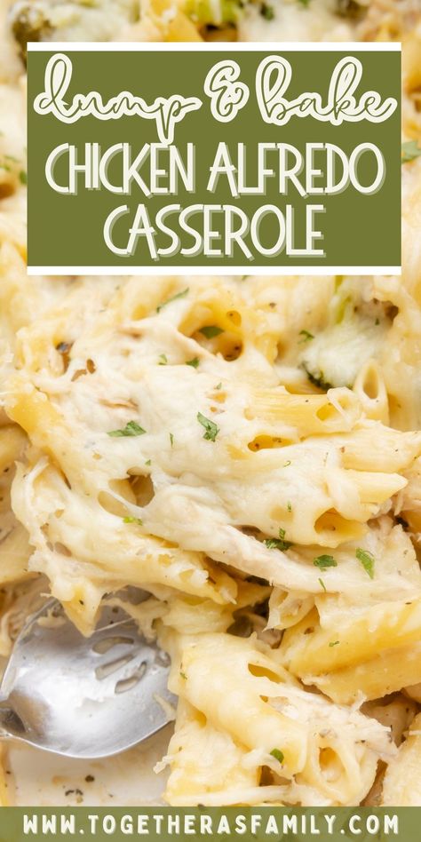 Chicken Fettuccine Alfredo Bake, Easy Chicken Alfredo Pasta, Simple Chicken Alfredo Recipe, Baked Chicken Alfredo Pasta, Alfredo Casserole, Chicken Alfredo Casserole, Chicken Pasta Casserole, Dump And Bake, Chicken Alfredo Bake